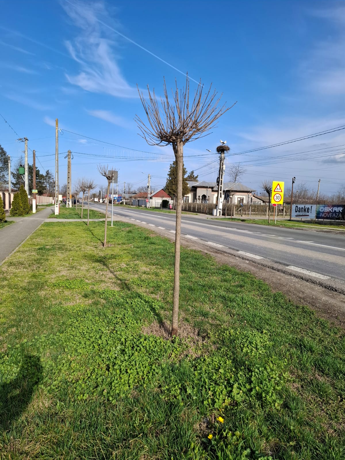 Să nu te lași primare! Nepăsarea ta te definește!